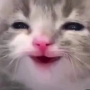 kittyhappy custom emote - Mikudes Place