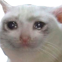 sadcat Discord Emoji - Alphio AI