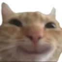 Smile Discord sticker | Sachsen Treff | .gg/Sachsen