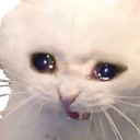 mai_hee_kyu Discord Emoji from Born2Game 🔥 | Indian Gaming Community • Discord Server • LFG • Voice Chat • Valorant • Minecraft •