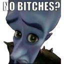 Megamind stares intensely at the viewer with a caption that reads No Bitches.