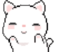 cat animated emote - Dadscord | Active VC Discord • SFW • Anime • Chill • Social • Emojis • VC • Active Voice Chat