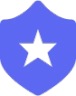 Shield emblem with a black star in the center.