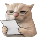 226280catnoted custom emote - Ride A Pet | Stock, Prediction, Notifier, Trading, Values | Codes, Updates, Events, Leaks, Guides