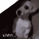 shydog Discord Emoji from The Nocturne District (18+ • SFW)