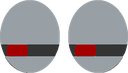 Two wide, gray eyes with red accents staring forward with an intense, unblinking expression.