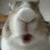 bunnychew animated emote - The Z's