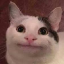 9327beluga custom emote | Real Eyes Realize Real Lies
