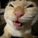 emoji_7 Discord Emoji | Ngôi nhà chút chít ᥫᩣ