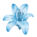 i_blue_flower Discord sticker from Wisp Grove