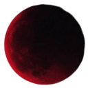 red Discord sticker | Lemniscate Network