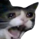 huhu Discord Emoji from BlockMench