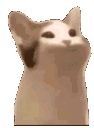 emoji_27 animated emote from Again