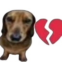 dogbun custom emote from 𝘙𝘌𝘈𝘓𝘐𝘛𝘠 𝘈𝘞𝘈𝘐𝘛𝘚... but after 24.7