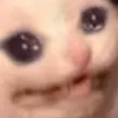 FR_catahahahah custom emote from Friends 18+ Sfw | Adults-only • active-chat • Mature • Friendly • Gaming • Lgbtq+ • Hangout
