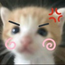A small ginger kitten with digital angry eyebrows and pink swirl cheeks looking intensely at the camera.