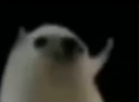 __ Discord Emoji - 𝐒𝐀𝐅𝐄 𝐙𝐎𝐍𝐄
