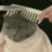 Xieron_stolen_emoji_1779089405 animated GIF emoji - Vrindavan | 💗👀