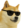 cooldog animated Discord emote | Dadscord | Active VC Discord • SFW • Anime • Chill • Social • Emojis • VC • Active Voice Chat