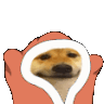 Aliyippi_club animated GIF emoji from ୨ Caféx ୧／Social  ﹒ International ﹒Nitro﹒pfps﹒Fun (Masti)