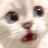 catscared custom emote - MoneyHubOnline