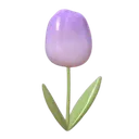 A purple tulip flower with a green stem and leaves.