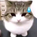 Ummm custom emote | 💫 Solnyra GAMERS