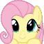 flutter Discord sticker | 𝒹𝑜𝓁𝓁𝓈𝒾𝓏𝑒𝒹 𝒽𝑒𝓃𝓃𝓎