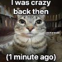 A gray tabby cat staring directly at the camera with text overlay saying I was crazy back then (1 minute ago).