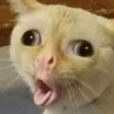 emoji_13 custom emote | 𝐌𝐗𝐏𝐈𝐎𝐑𝐄𝐑 𝐂𝐨𝐦𝐦𝐮𝐧𝐢𝐭𝐲