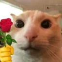 rose_mermer custom emote | ATGs (All The Gamers)