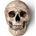 skul custom emote | 🌏 𝐍𝐓𝐅-𝐠𝐚𝐧𝐠 🇷🇺