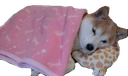 goodnight custom emote - Vine(yl)💽