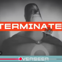 terminatedeverseer custom emote from The phantasmics