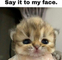 Say_it_to_my_FACE custom emote - The 1woners
