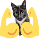 A gray cat head placed on top of two yellow flexed arm emojis.