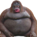 uhoh Discord Emoji - ✦ ⊹ Sakura Sanctuary ⊹ ✦