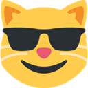 Cat face wearing black sunglasses and smiling.