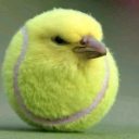 Pollito_Tenis Discord Emoji from Fabulous Beast・Español [0.3K] 🌈