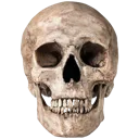 skull2 Discord sticker from Italian Mapping's Planet
