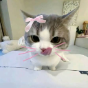 A gray and white kitten with a pink bow and drawn-on whiskers licking its nose.