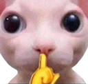 2030bingusshh Discord Emoji | Roblox LatinoAmerica⭐