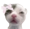 Coquette_cat custom emote - Heart.exe
