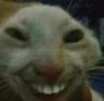 trollcat custom emote | ATGs (All The Gamers)