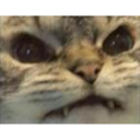 cat_grrr custom emote from Lovescape