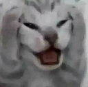 cat_scared Discord Emoji - Lovers Cafe™ | Indian Discord Server • Nitro • Voice Chat • Active • India • Hangout • Gaming • SFW