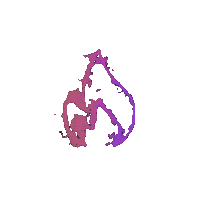 TP_Fire animated Discord emote | Obsidian Advertising
