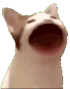 emoji_61 animated Discord emote - RURP | Realistic Union RP 🇺🇸