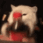 s_cat_cola animated Discord emote from Unsupervised Adults ¹⁸⁺