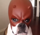LGA Discord Emoji from CommunityOne Builders Help